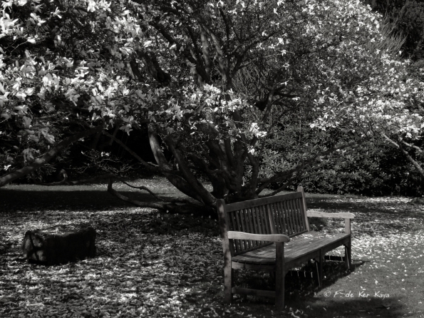 Bois des Moutiers (14) Avril 2012